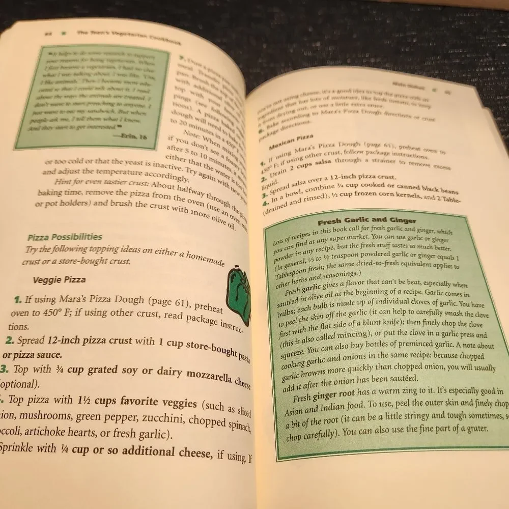 🔥 The Teen's Vegetarian Cookbook by Judy Krizmanic 1999 Paperback
